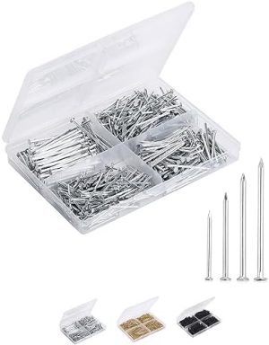 Kit di Assortimento di Chiodi, 600 Pezzi, 4 Misure, Argento, Chiodi Piccoli per Appendere Quadri, Chiodi di Finitura, Chiodi Dorati per Appendere, Chiodi a Pin, Chiodi per Ferramenta, Chiodi Misti, Chiodi Zincati  | Unghie Unghie Unghie