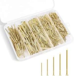 Kit di assortimento di chiodi con hardware dorato in 5 misure, chiodi per appendere quadri, chiodi di finitura, chiodi per legno, chiodi per pareti per appendere, chiodi piccoli, 4 pezzi  | Unghie Unghie Unghie