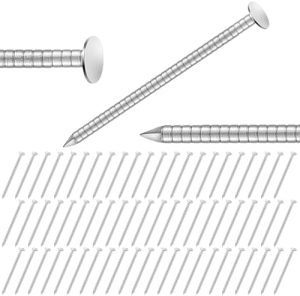 Scatola da 2 libbre di chiodi per rivestimenti da 1-3/4 pollici, 34 chiodi per tetti in acciaio inossidabile con testa piatta. Chiodi per tegole, piastrelle e coperture per pareti, rivestimenti, hardware, legno di cedro e decking.  | Unghie Unghie Unghie