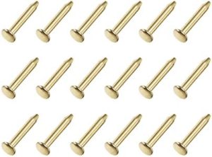 Chiodi Piccoli (1.2X6Mm) 200Pz, Chiodi in Acciaio al Carbonio – Per Lavori di Falegnameria Domestica, Colore Oro  | Unghie Unghie Unghie